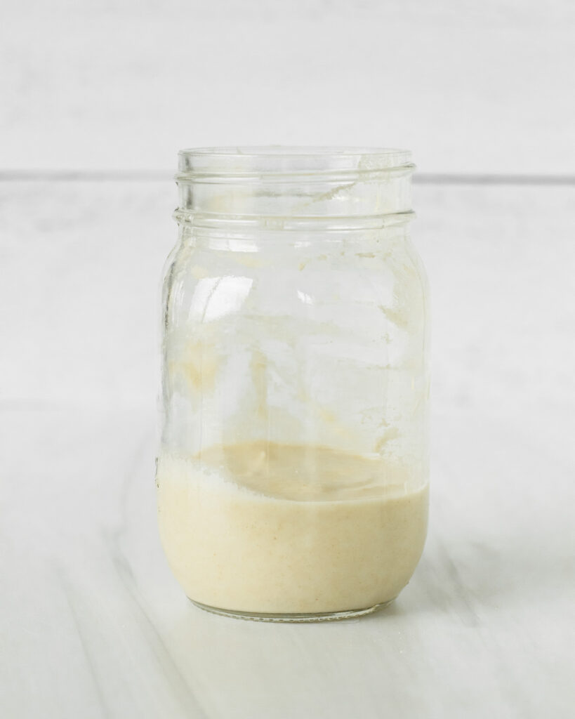 Gluten-free Sourdough Starter 