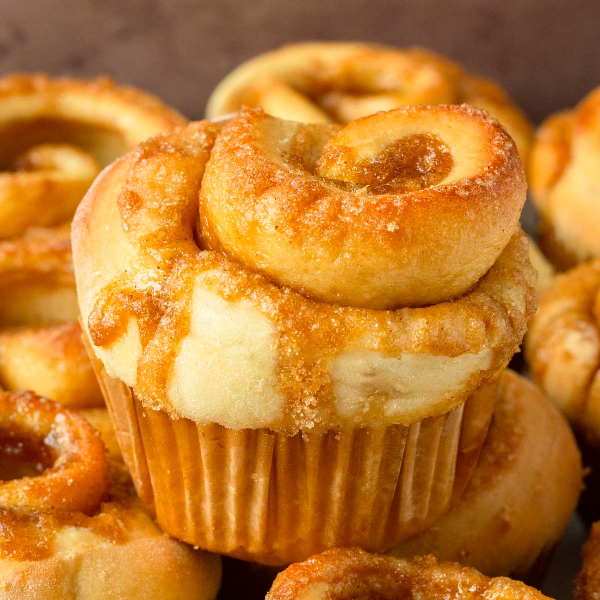 These cinnamon roll muffins are the best classic soft, fluffy cinnamon rolls with a gooey cinnamon sugar filling but made into muffins.