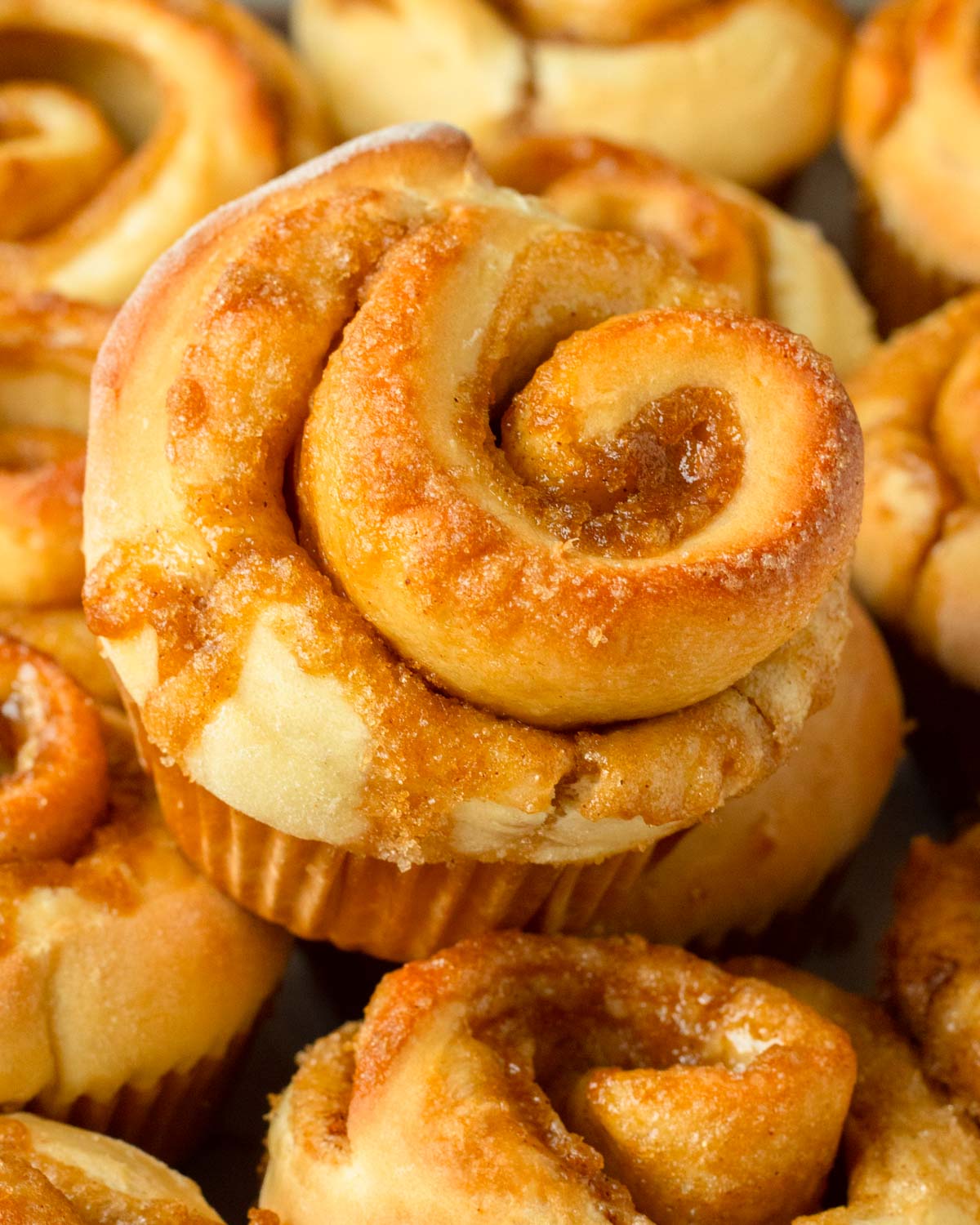 These cinnamon roll muffins are the best classic soft, fluffy cinnamon rolls with a gooey cinnamon sugar filling but made into muffins.